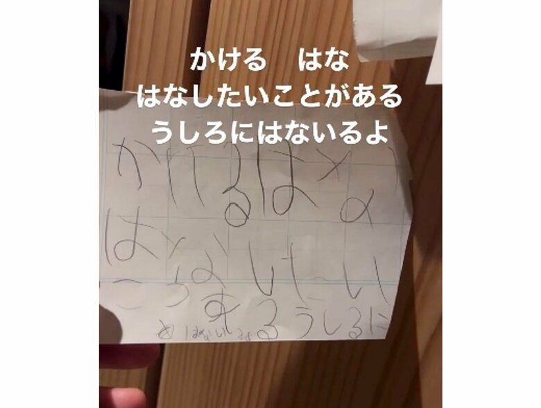 提供:西出翔さん