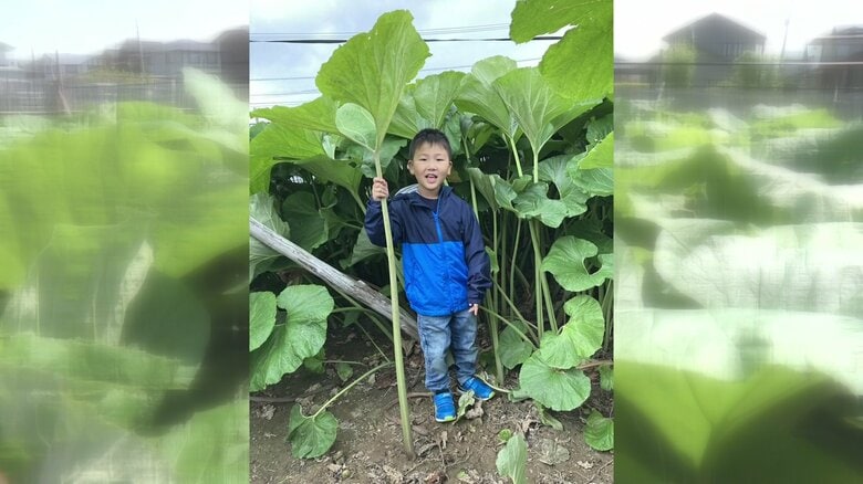 提供：ホクシンエレクトロ二クス