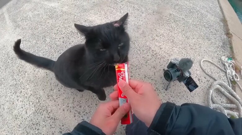 えぐれたような大きなケガ　痛そう…