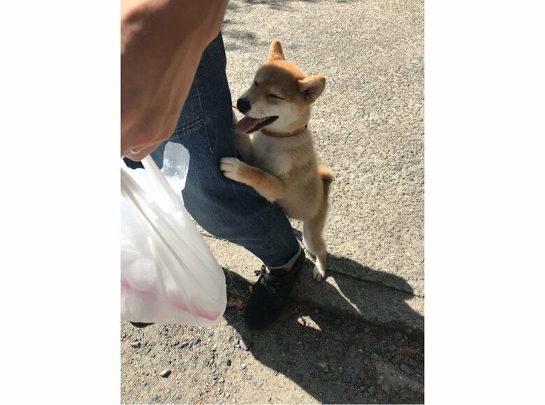 提供：torakichi602さん