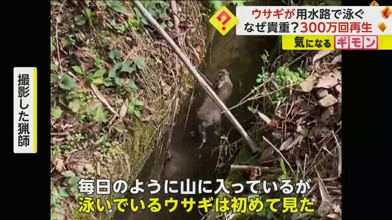 （ヒロさん撮影）
