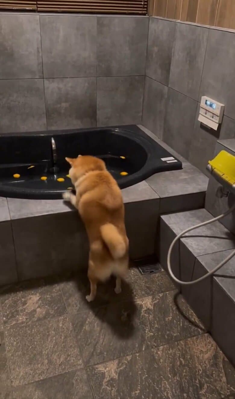 前足でカリカリしても…