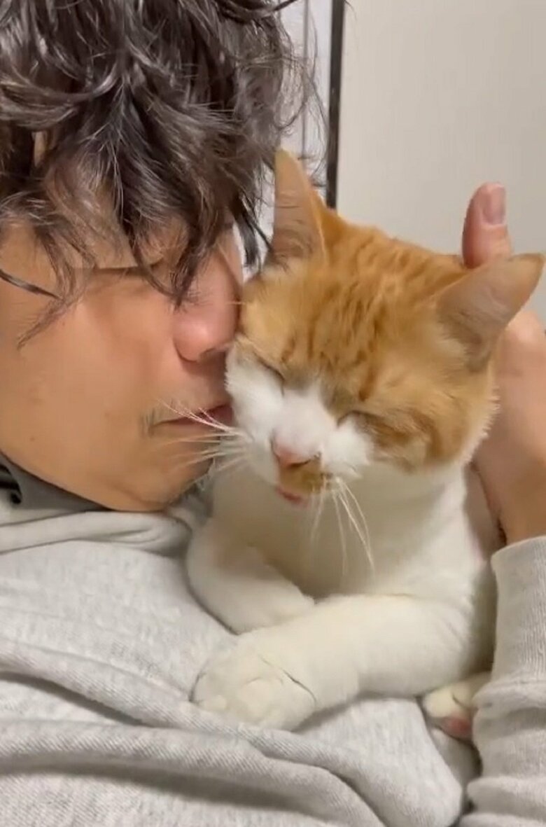 飼い主さんの旦那さんにくっついてゴロゴロ