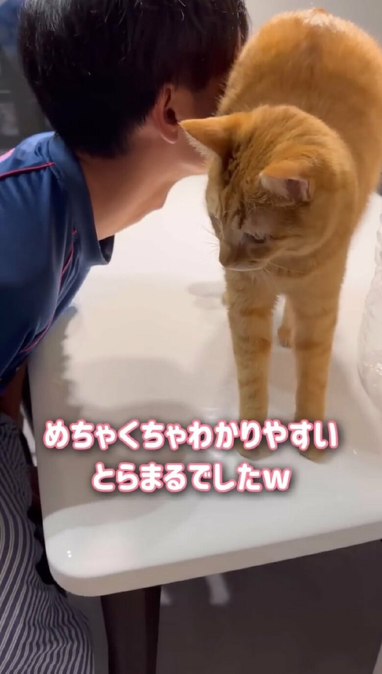 しまいには立ち上がってしまっていた