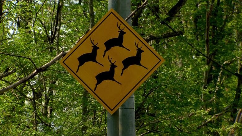 シカ四頭が描かれた標識