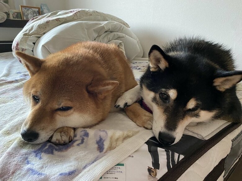 手をつないで仲良し