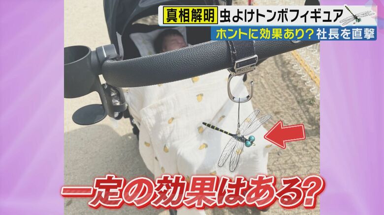効果はある…はず
