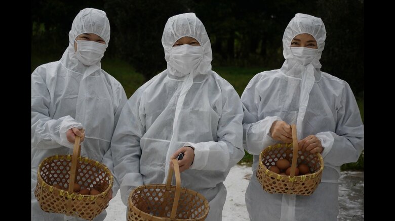 御料牧場に滞在されている際のご一家の写真が公開された（宮内庁提供）