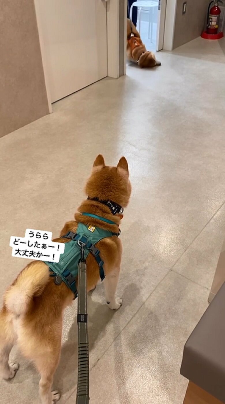 そしてクネクネ