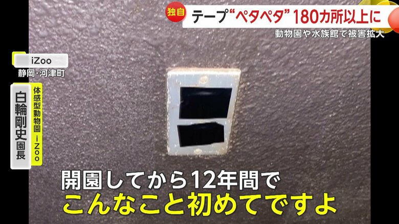 「開園してから12年間でこんなこと初めてですよ」と話す体感型動物園iZooの白輪剛史園長