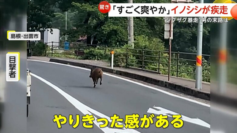 「やりきった感がある」と話している撮影者