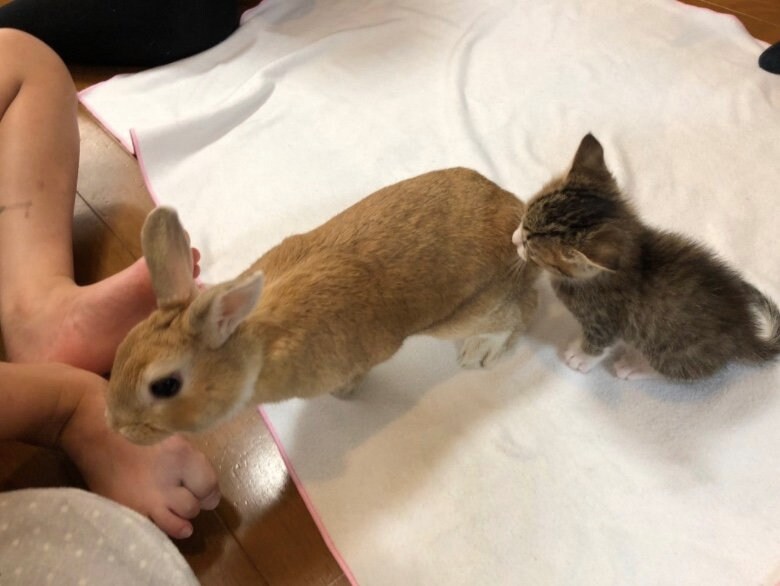 提供：もずく＆こんぶさん