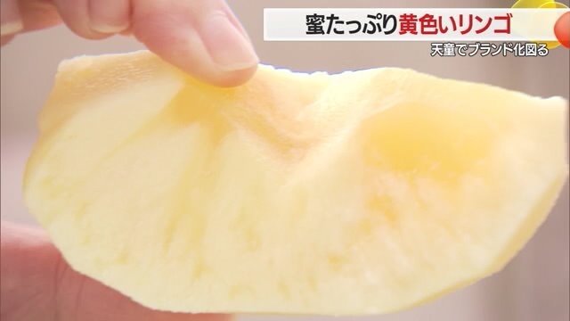 シャキッとした食感と蜜がたっぷり入った「はるか」