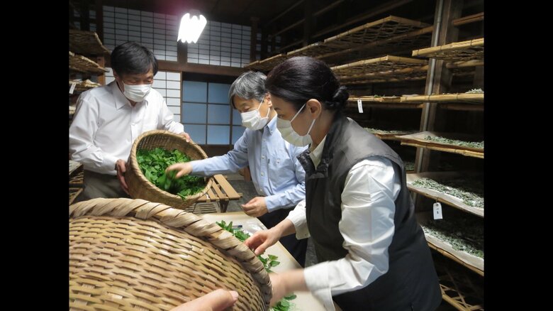 桑を与えられる天皇皇后両陛下（2022年5月19日　宮内庁提供）