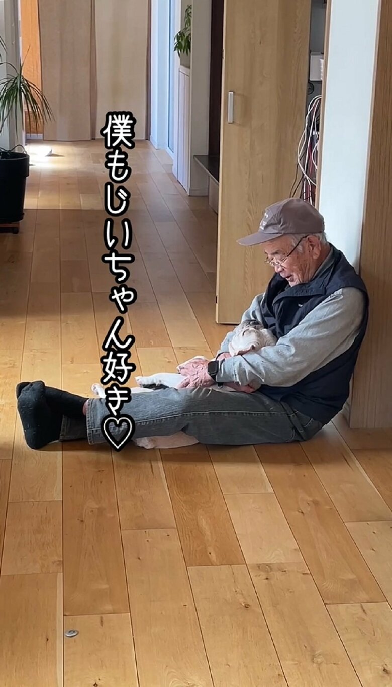 ブン太くん「僕もじいちゃん好き」