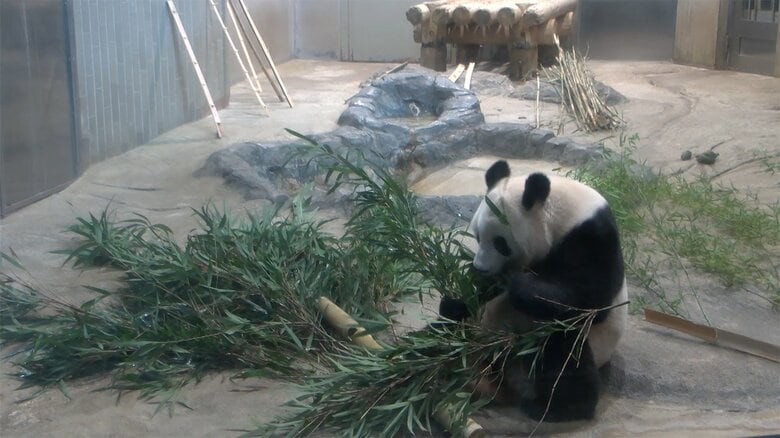 2022年11月7日撮影　 (公財)東京動物園協会提供