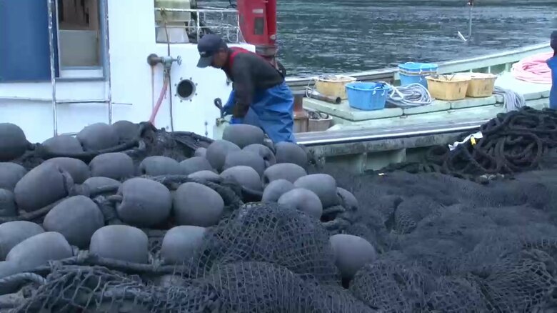 6月、綾里漁協が定置網漁を再開