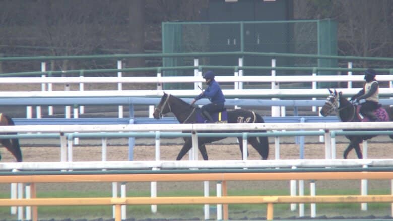 ブリンカーを着けて調教に臨むインビンシブルパパ