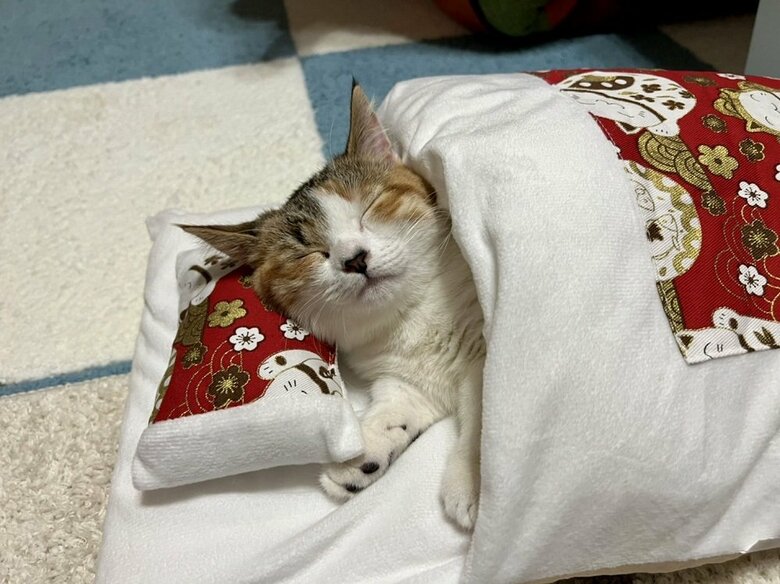 お布団の中でぐっすり