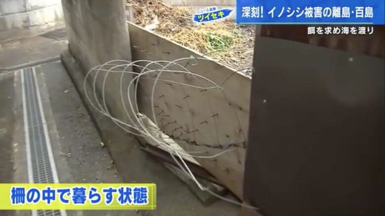 イノシシの侵入を防ぐための柵