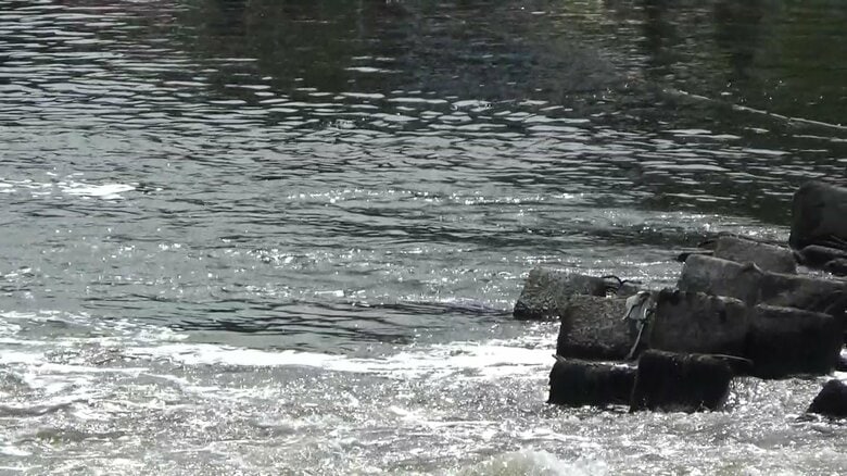 ベトナム人技能実習生が流された現場