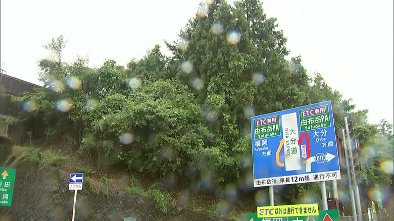 大分自動車道　由布岳パーキングエリア付近