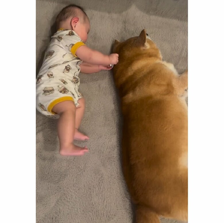 娘さんとべりやんくんが横になっている