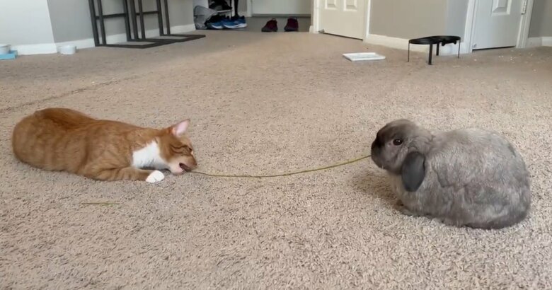 どうしても気になっちゃう（提供：和泉ユタカさん）