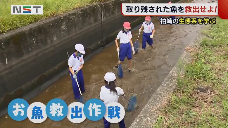 北鯖石小学校の児童