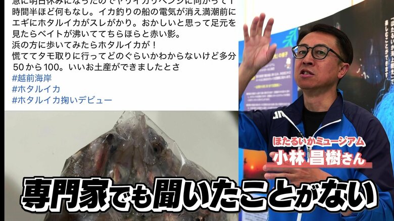 “身投げ”は富山以外では聞いたことがない…