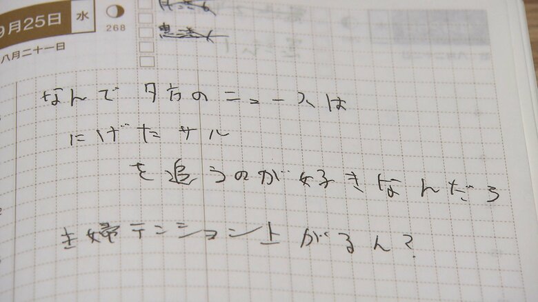 何げない、日々の思いが綴られているものも