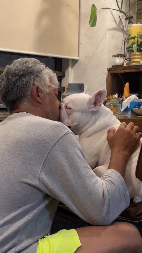 提供：こぶしさん