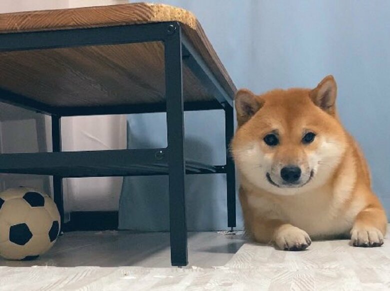 「ボール取れないんです」と困った顔で待つ遊び