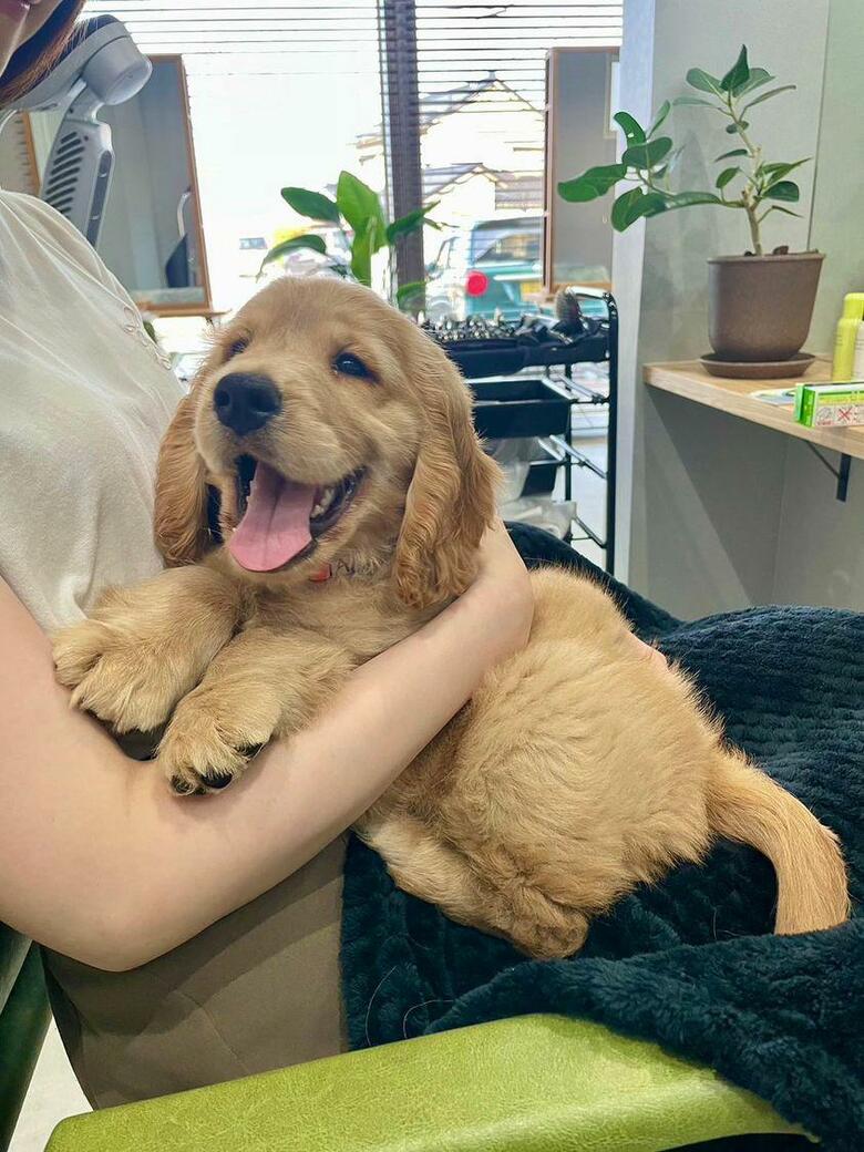 提供：関口和也さん