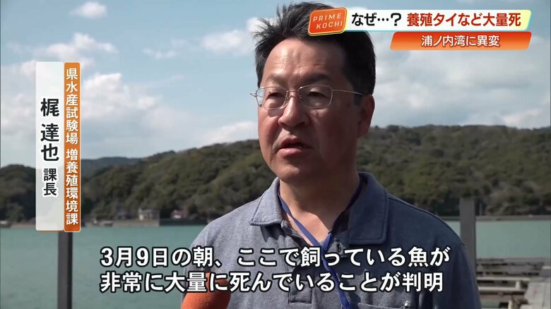 状況を語る県水産試験場・梶達也 課長