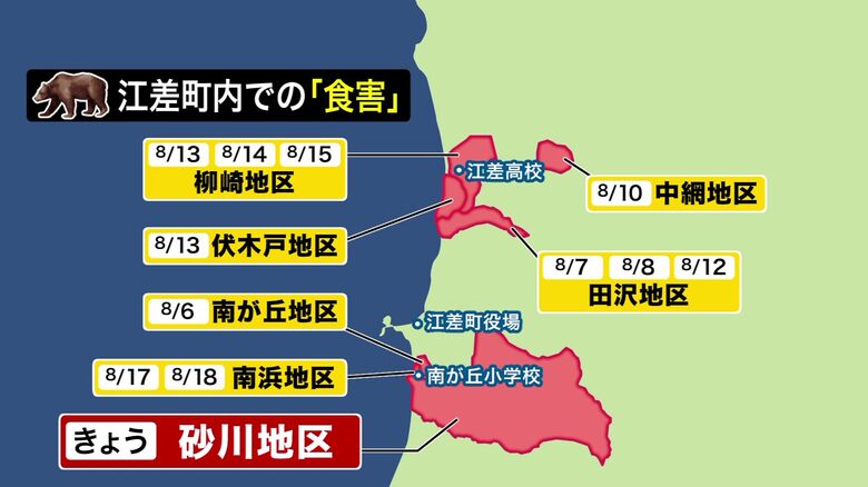 江差町内でのクマによる食害