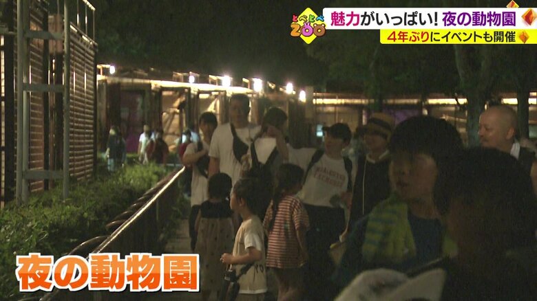 たくさんの人でにぎわう「夜の動物園」