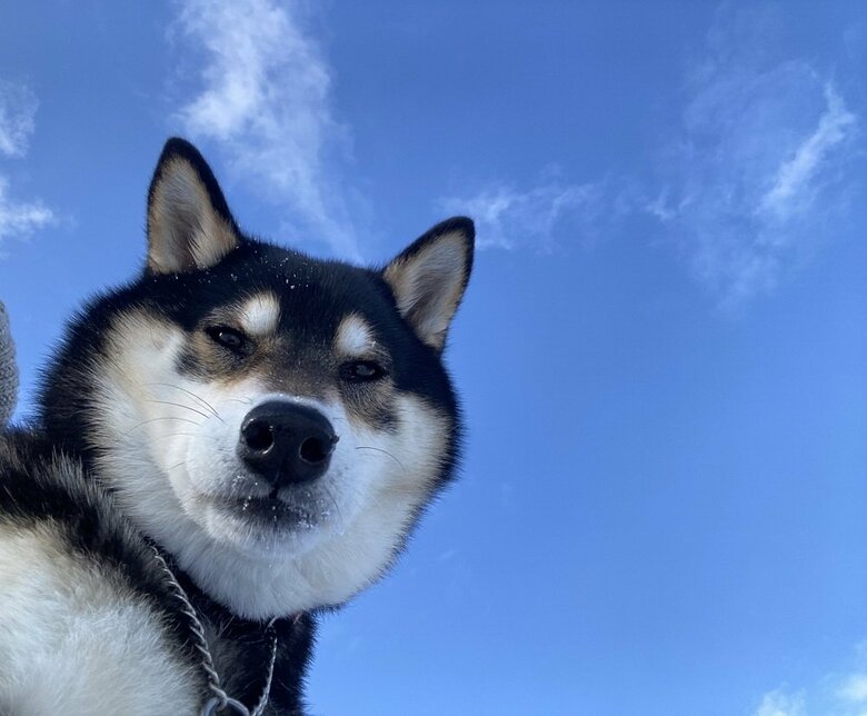 下からのアングルななちゃん