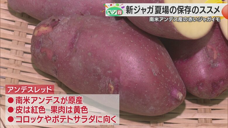 皮は紅色で果肉は黄色のアンデスレッド
