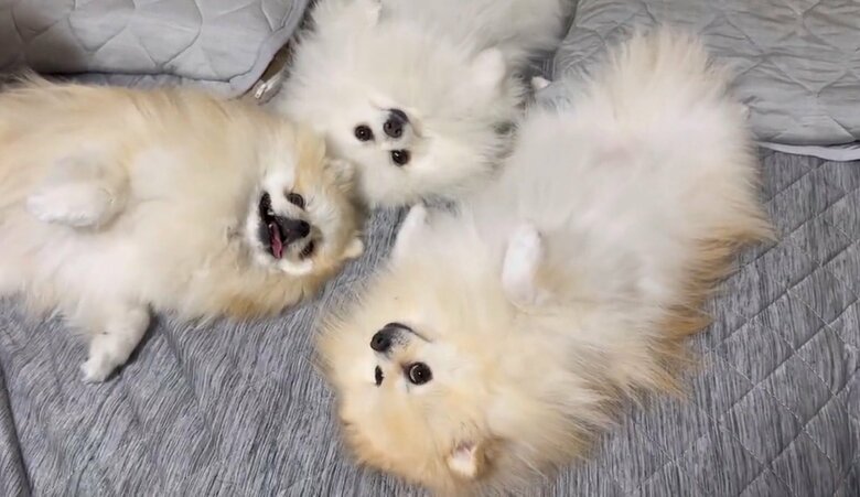 3姉妹揃ってゴロ～ン