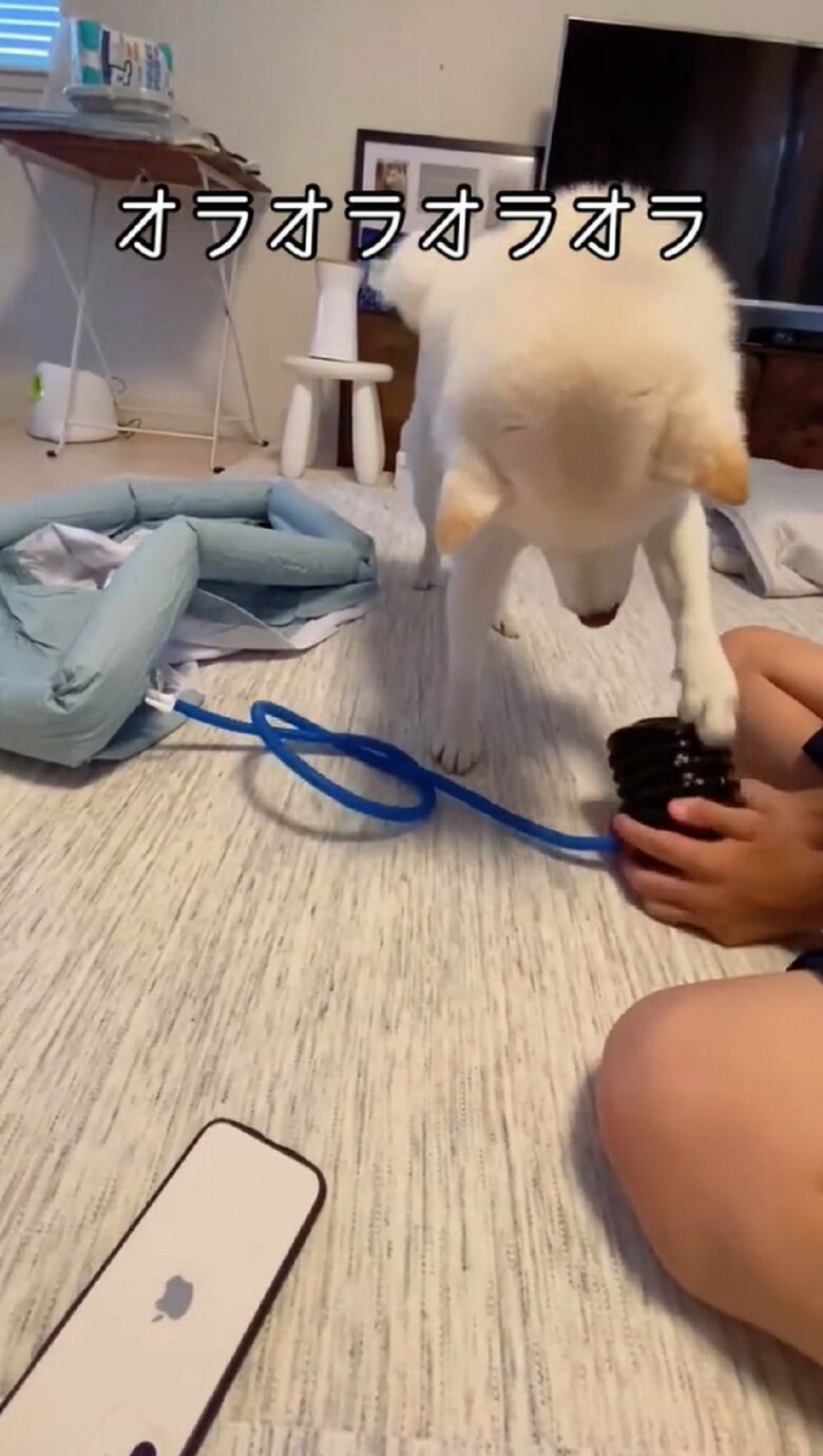 ガリガリ…