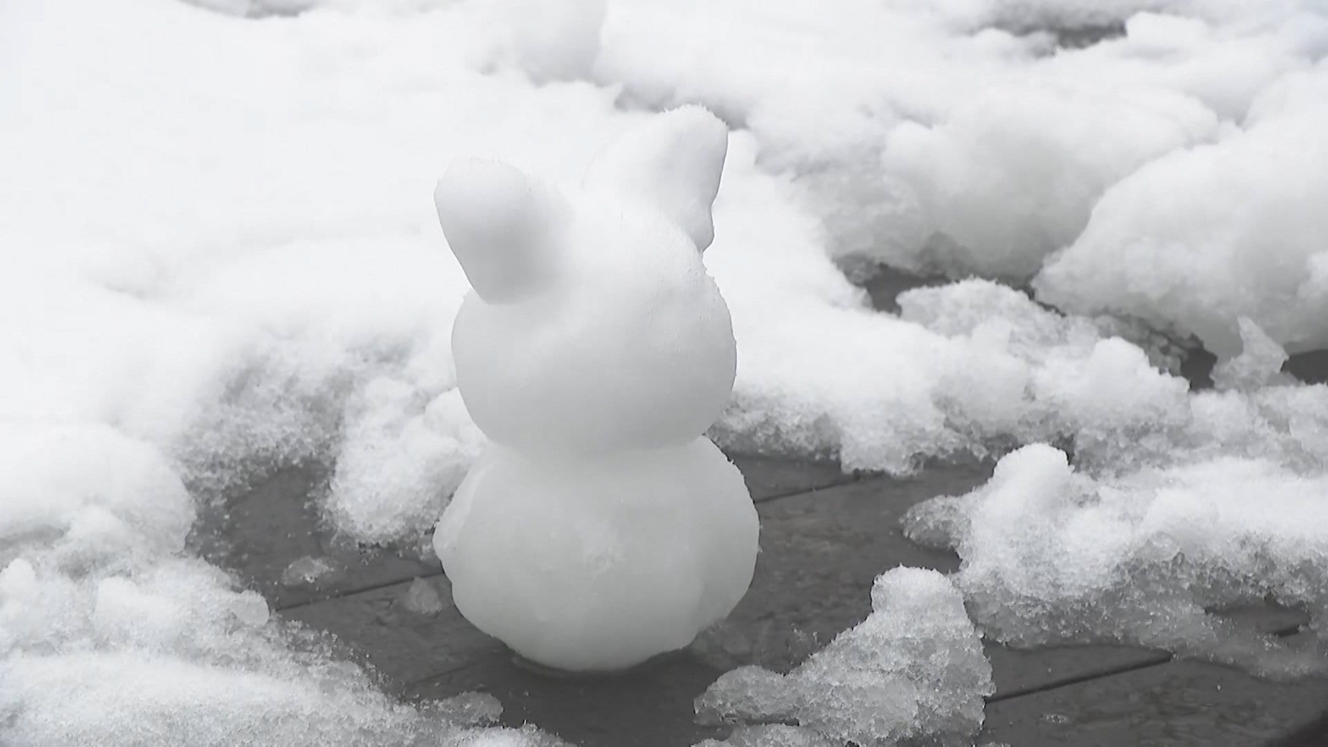 “30年に一度”渇水被害のダムに“恵みの雨”も底から69年前の“小学校跡地”出現　“ひな祭り寒気”草津で積雪14cm