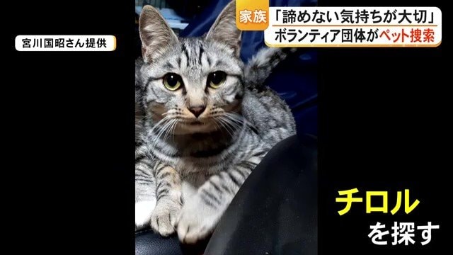 地震後にいなくなってしまった愛猫・チロル 「早く見つけてあげたい」 被災地で続くペットの捜索 令和8年熊本地震
