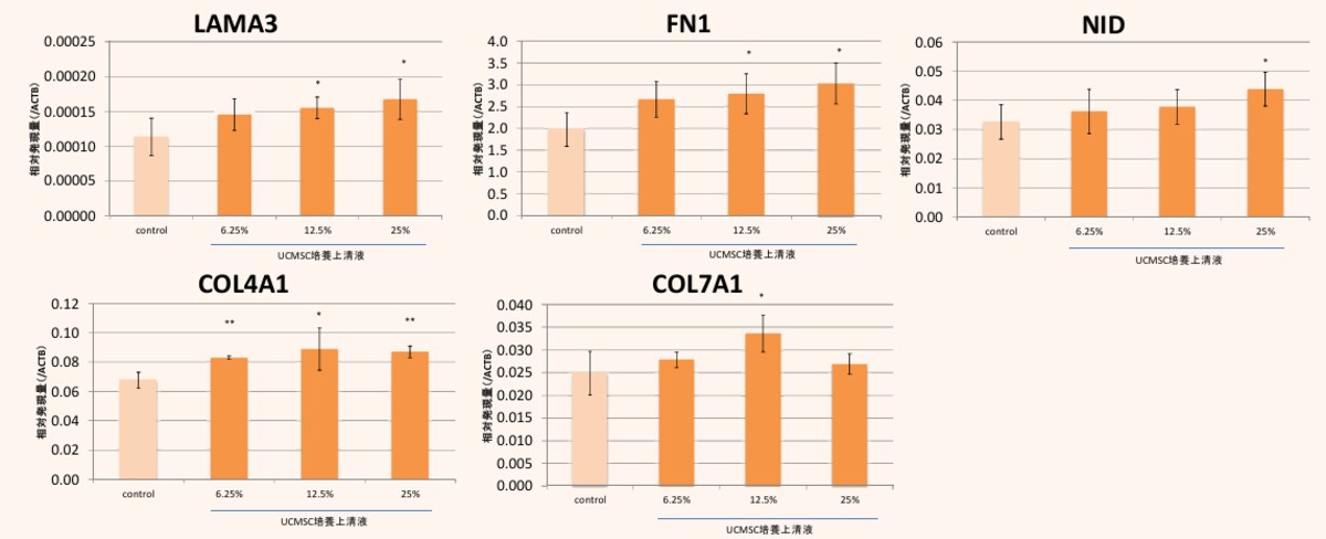 学会発表】株式会社エテルナムが誇る研究成果。革新技術に基づく新たな