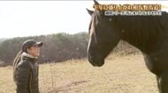 【福島と馬】相馬野馬追　時代と共に変化…女性騎馬武者がつなぐ伝統文化　人馬一体の魅力を後世に