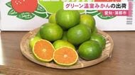 バランスの取れた甘みと酸味…「蒲郡グリーン温室みかん」の出荷作業始まる 約118トンが名古屋などへ 愛知県蒲郡市