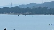 「花火が暴発し船が浸水した」高浜町の花火大会で事故　乗船の業者2人が骨折などのけがで救急搬送