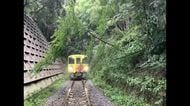 【JR四国】倒木により阿波池田・大歩危駅間が一時運転見合わせ　一部の列車が運休・大幅な遅れ