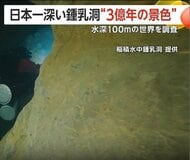 “3億年前の世界”を撮影　大分の「稲積水中鍾乳洞」で潜水調査　水深97.4mの地点まで到達「とても感動」
