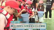 小学生がカサゴの稚魚を放流「大きくなってね」全国豊かな海づくり大会きっかけに実施　大分